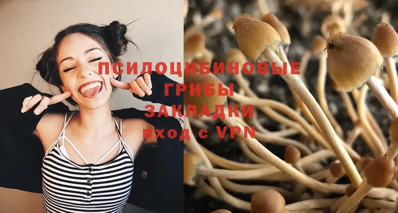 Псилоцибиновые грибы Psilocybine cubensis  купить наркоту  blacksprut как зайти  Копейск 